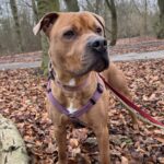 Stafford Laska wandelen