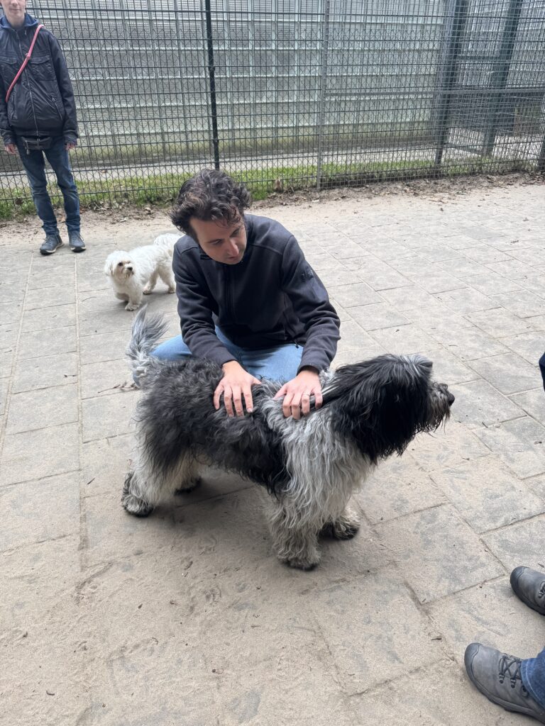 Jesse Klaver Groenlinks