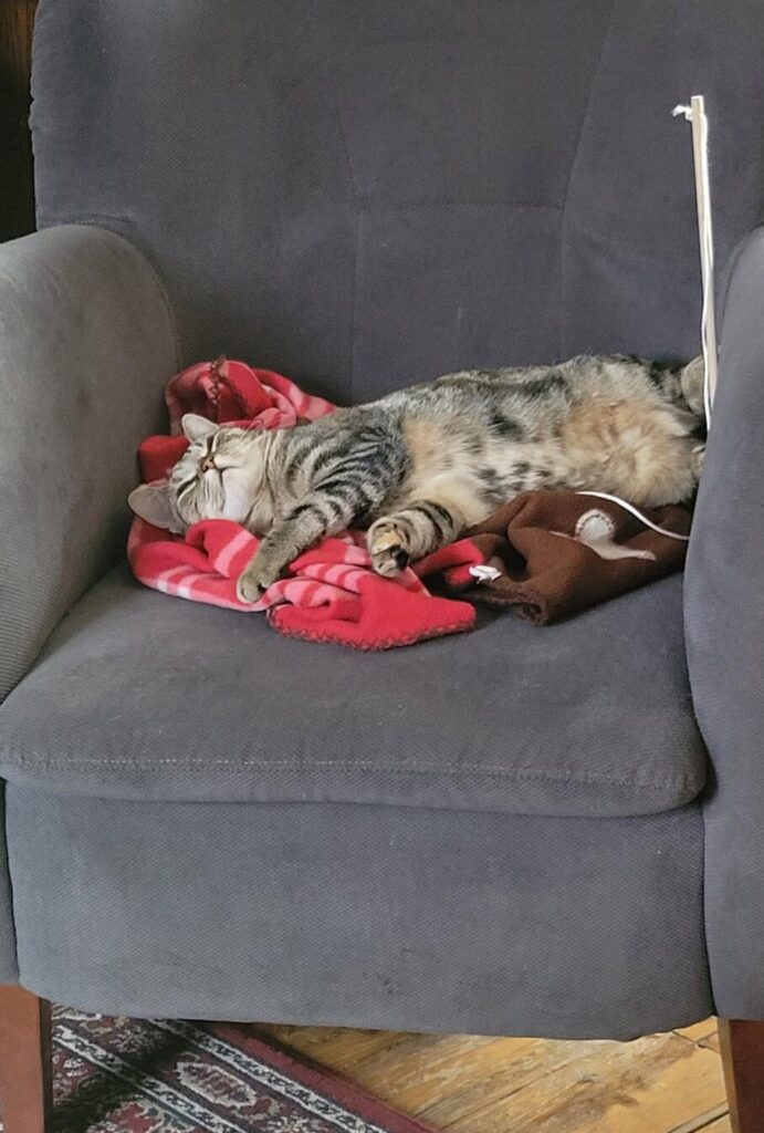 Prada voelt zich thuis