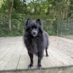 Keesje staand op blok