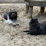 Keesje en Jesko op het veld