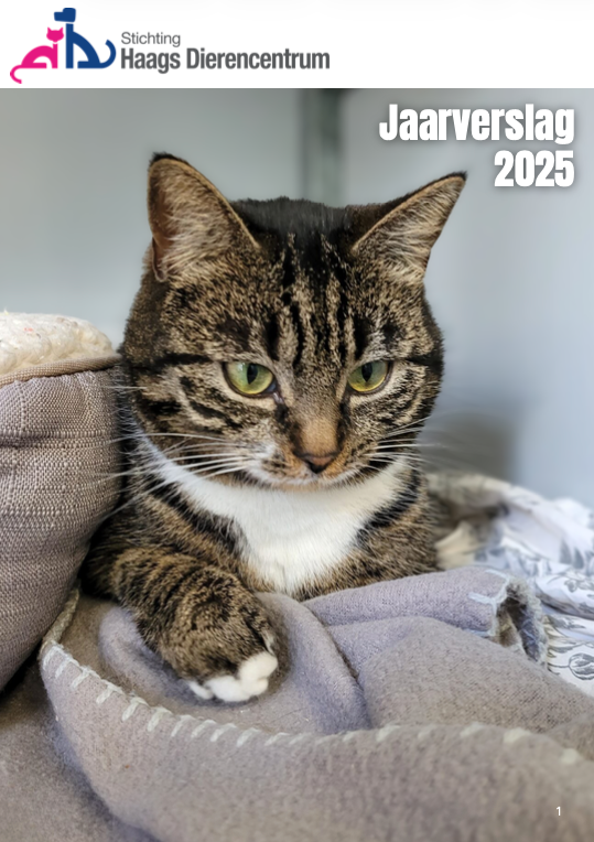Jaarverslag 2025