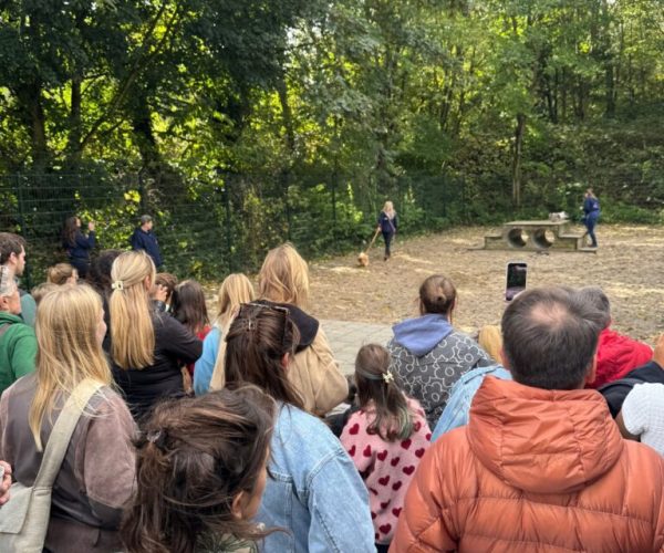 Geslaagde Open Dag 2025